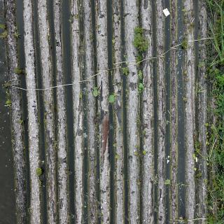 Photo Textures of Log Wood 